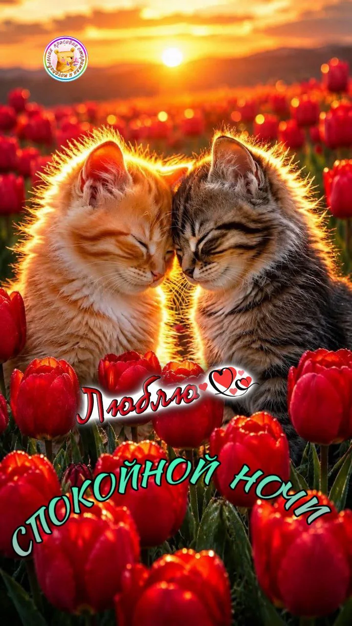 Пусть сны красивые вам снятся...