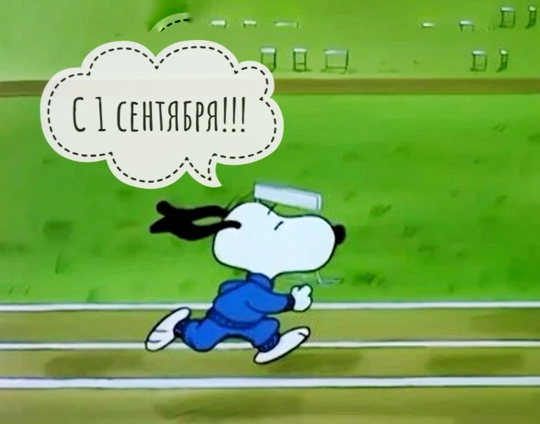 Тук-тук! Бег-бег! С Днём знаний! 📝