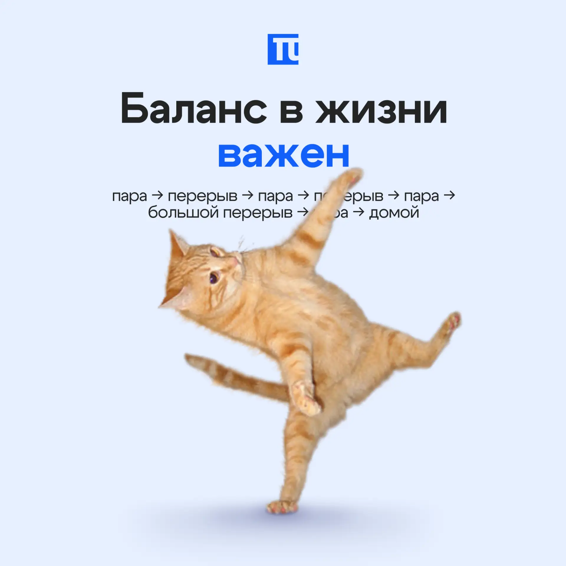 Следить за балансом поможет приложение студента — расписание в удобном формате, уведомл...