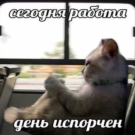 Психологи объяснили, почему осенью мозг отказывается работать.