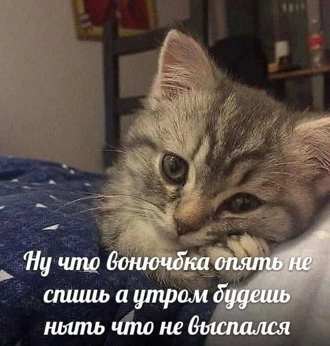 😄 Подпишись: Юмор и мемы