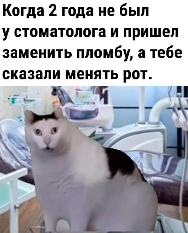 КУКУРУЗА 🌽