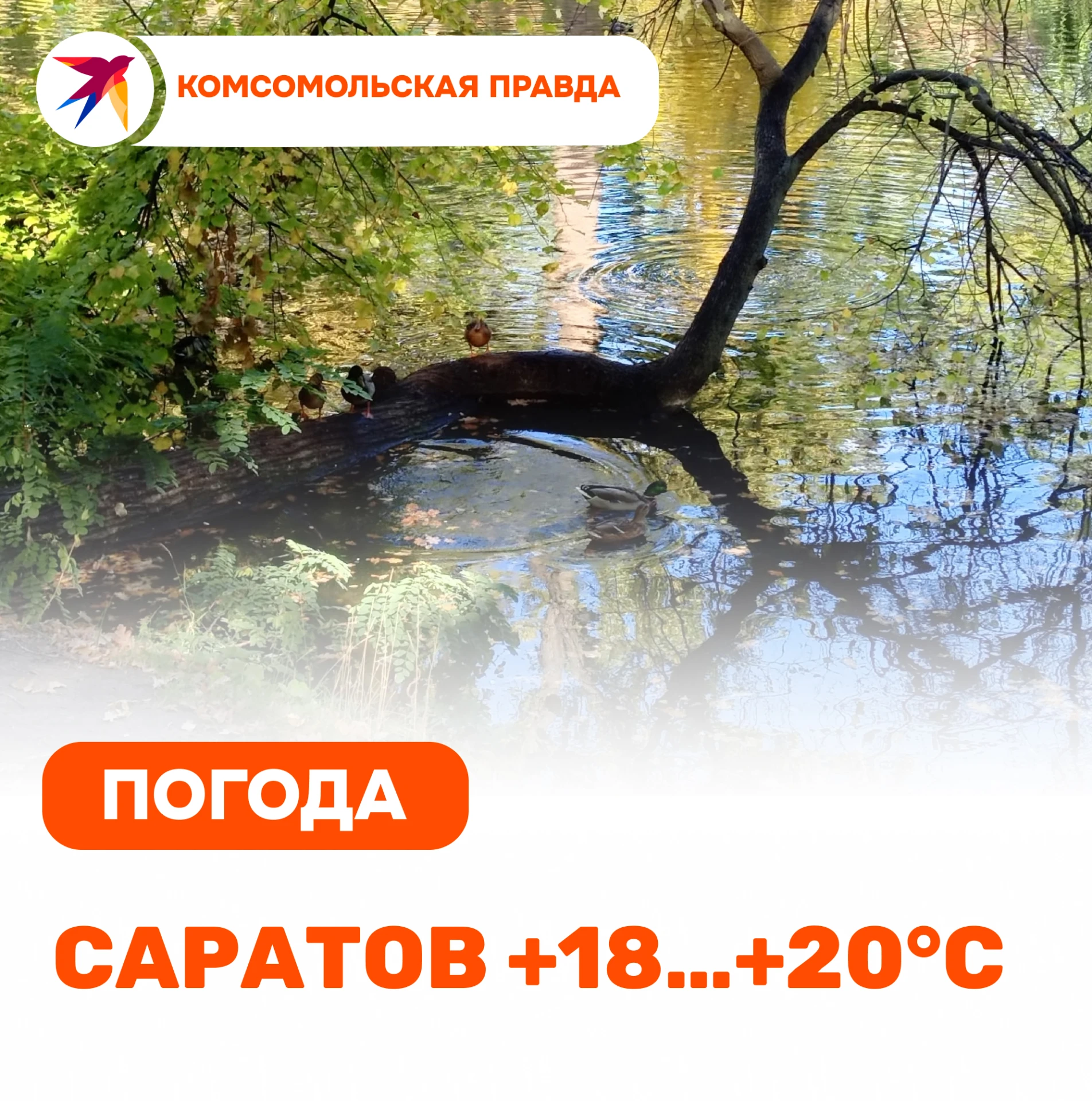 Пятница, 9 октября