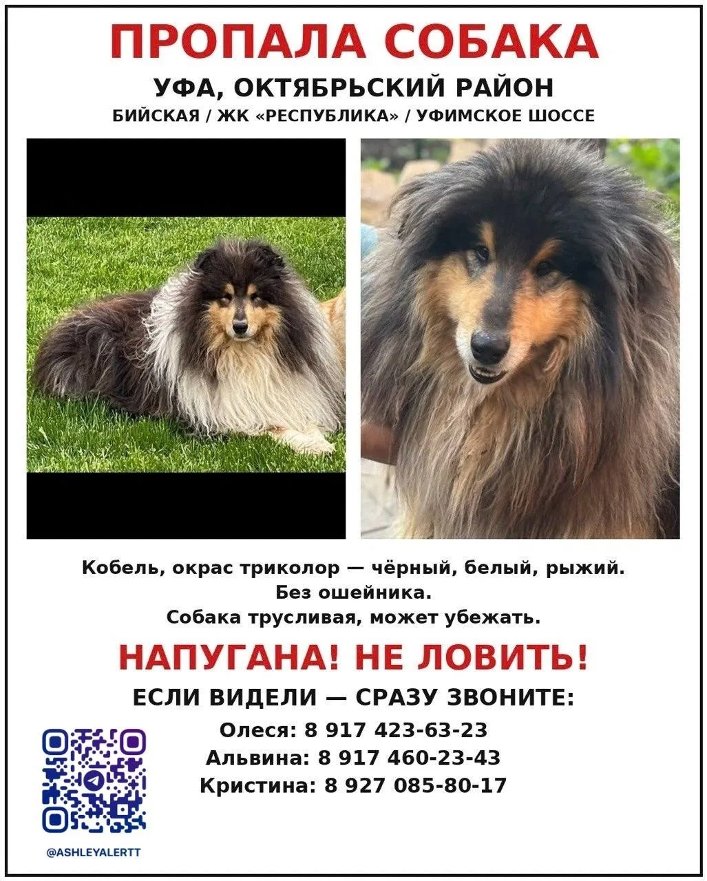 Просьба распространить информацию, может находится в любом районе города Уфы, если вы у...