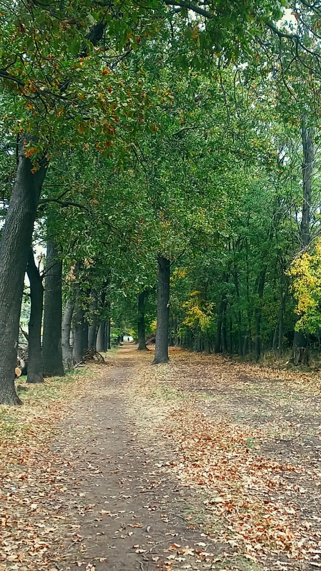 Вчерашний день