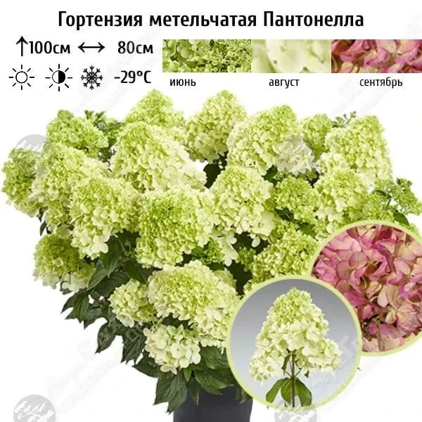 Осенние скидки! 🍂🍂🍂