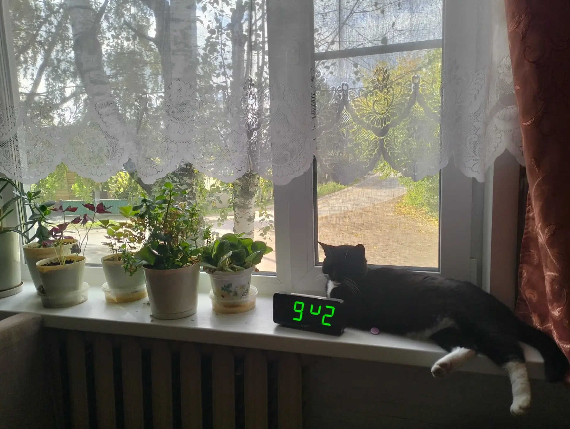 Здравствуйте