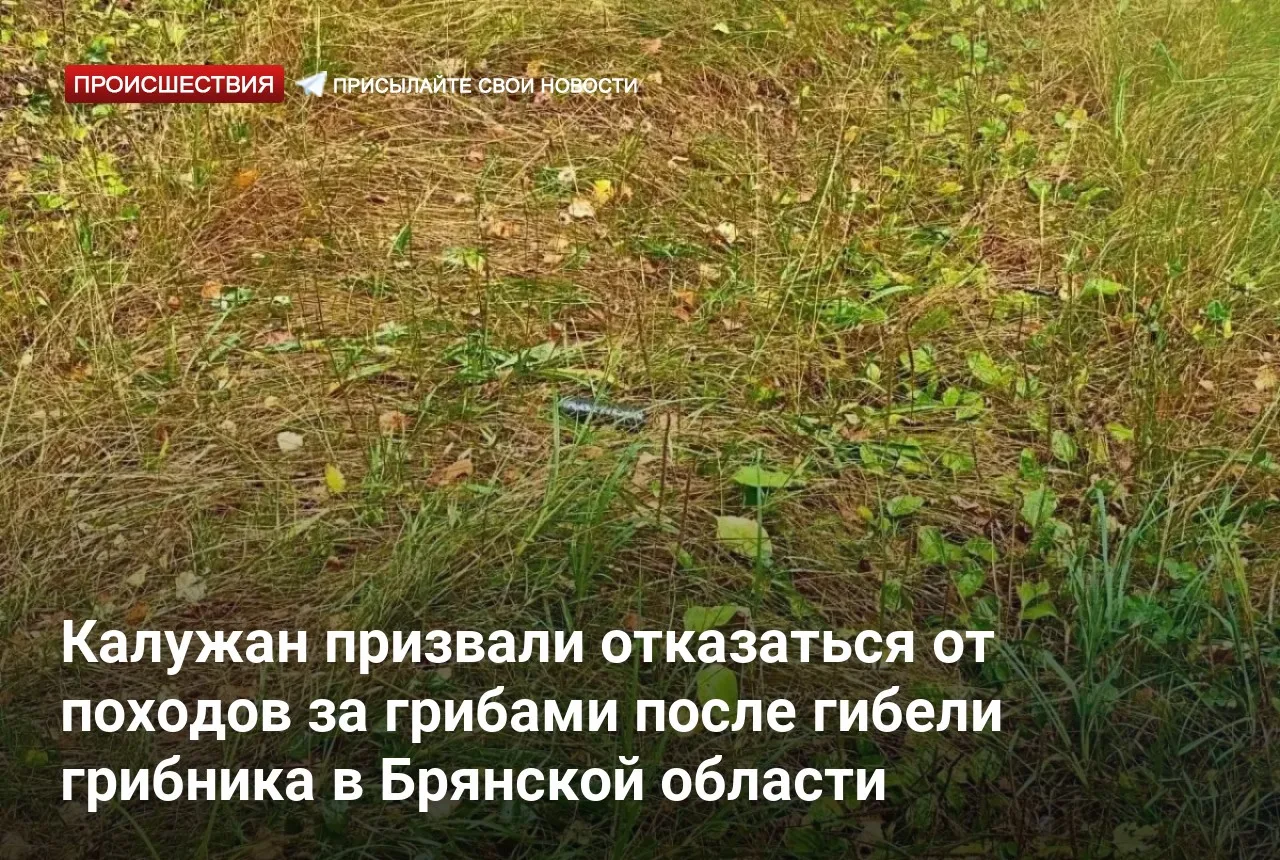 Калужан призвали отказаться от походов за грибами после гибели грибника в Брянской области