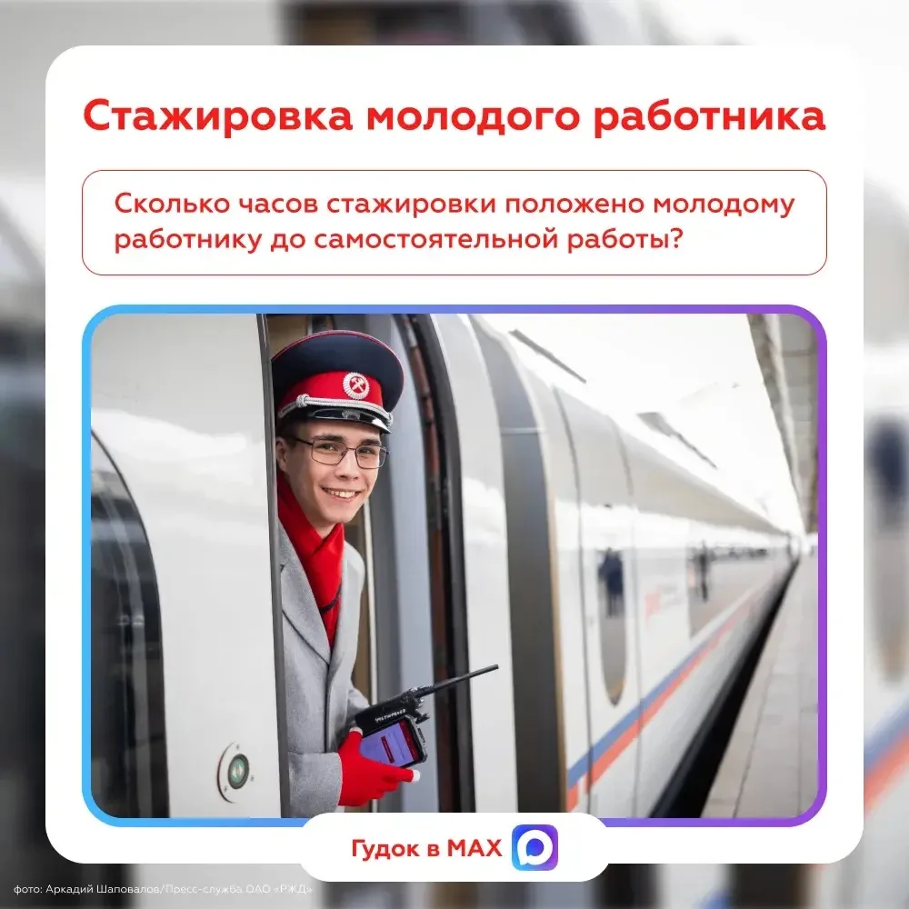 Сколько часов стажировки положено молодому работнику до самостоятельной работы?