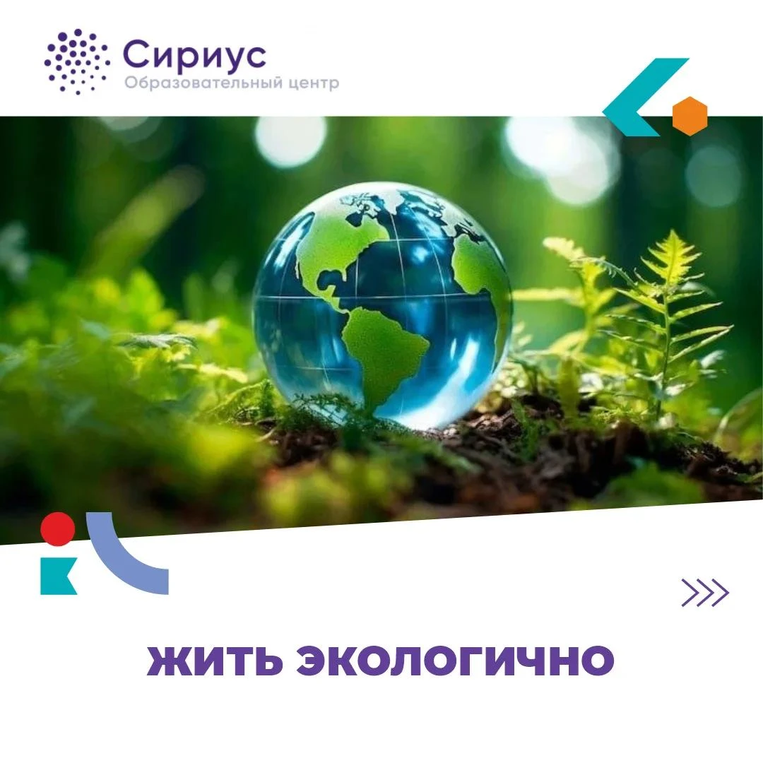 В «Таватуе» провели Неделю современной экологии. Участников осенней смены в Загородном ...