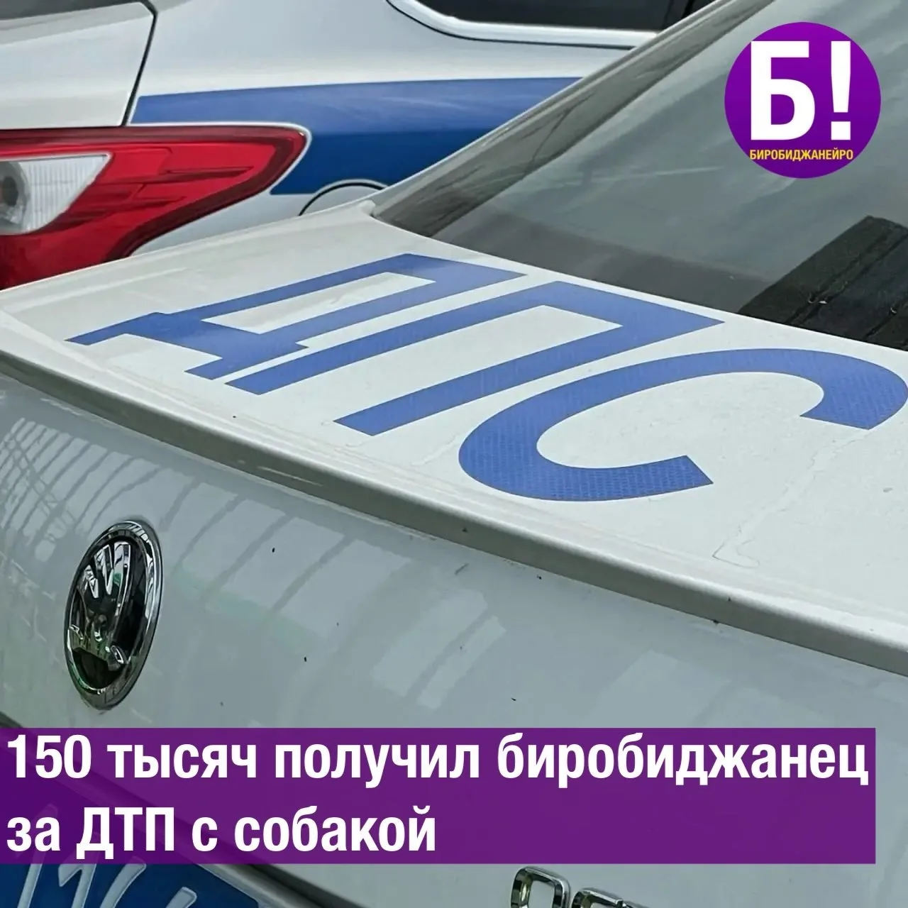 150 тысяч получил биробиджанец за ДТП с собакой