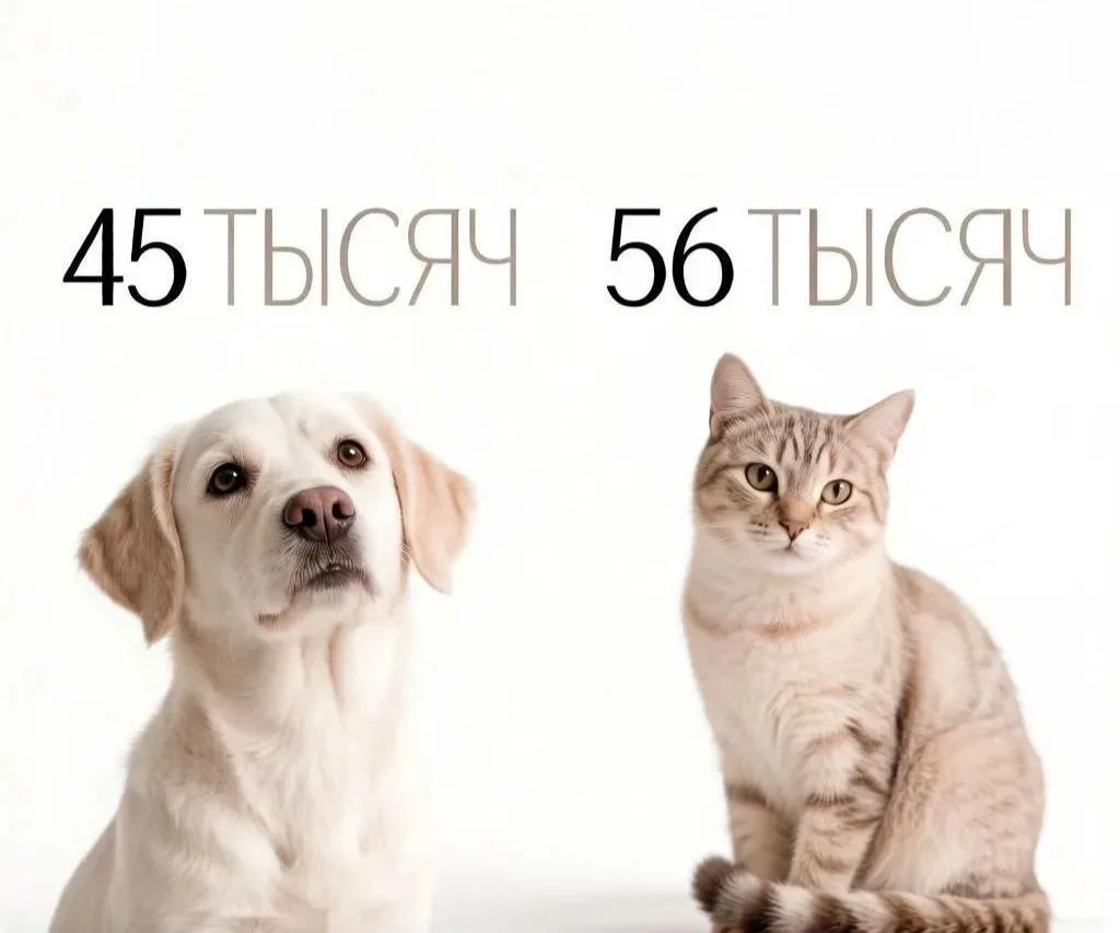 #цифрадня