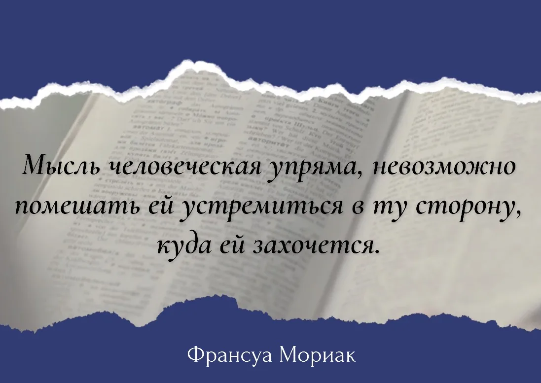 #цитатадня