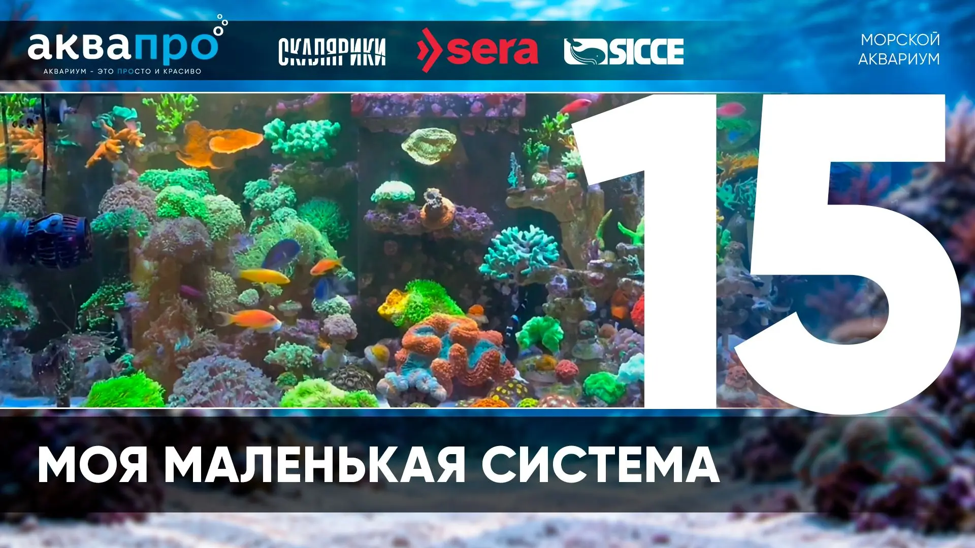 Фамилия Имя Отчество: Гумаров Андрей Юрьевич