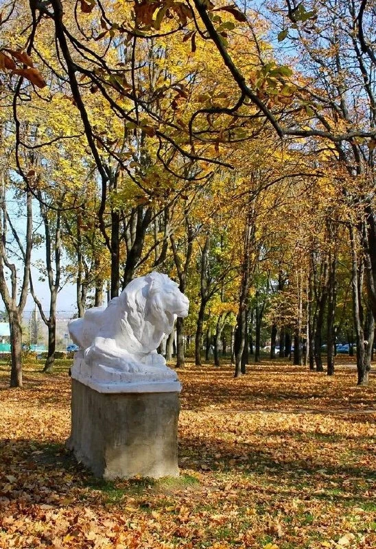 ❗️Доброе утро! 🍁