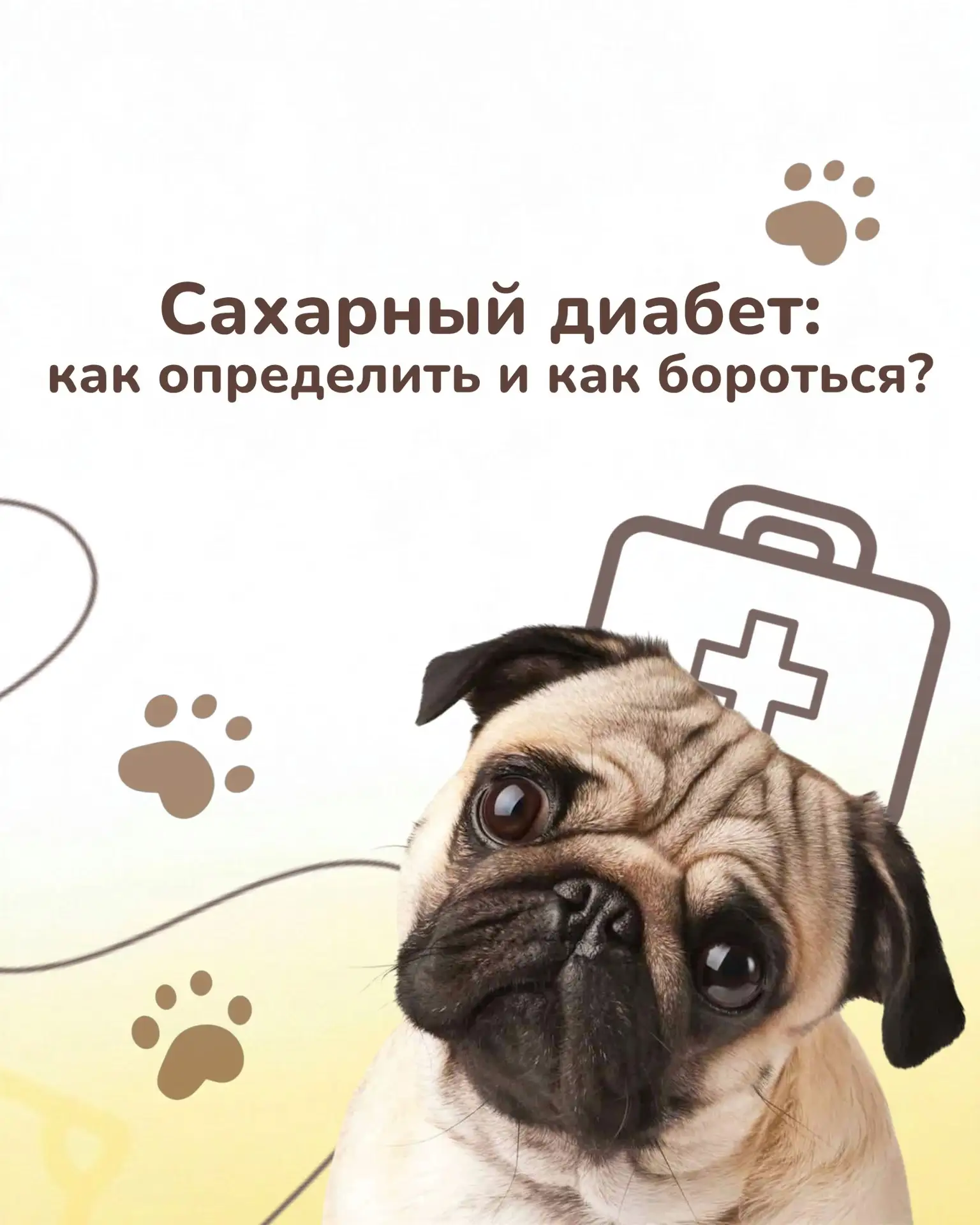 Сахарный диабет у питомца - диагноз, который требует внимания не только врача, но и сам...