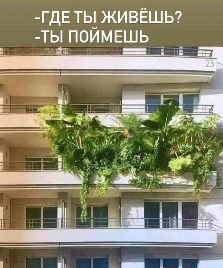 Немного жизненного юмора😁