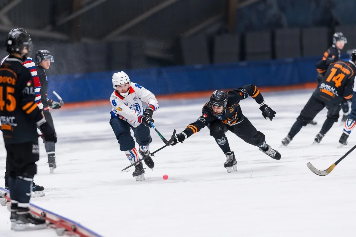 Родина сыграет в Ульяновске по системе Шенкеля 🏒