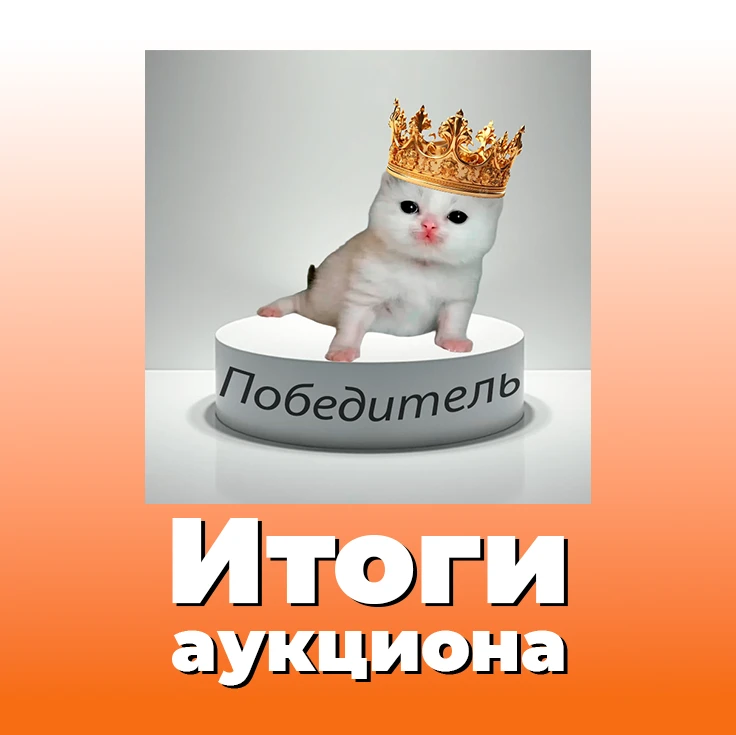 🔨💸 ИТОГИ АУКЦИОННА💸🔨