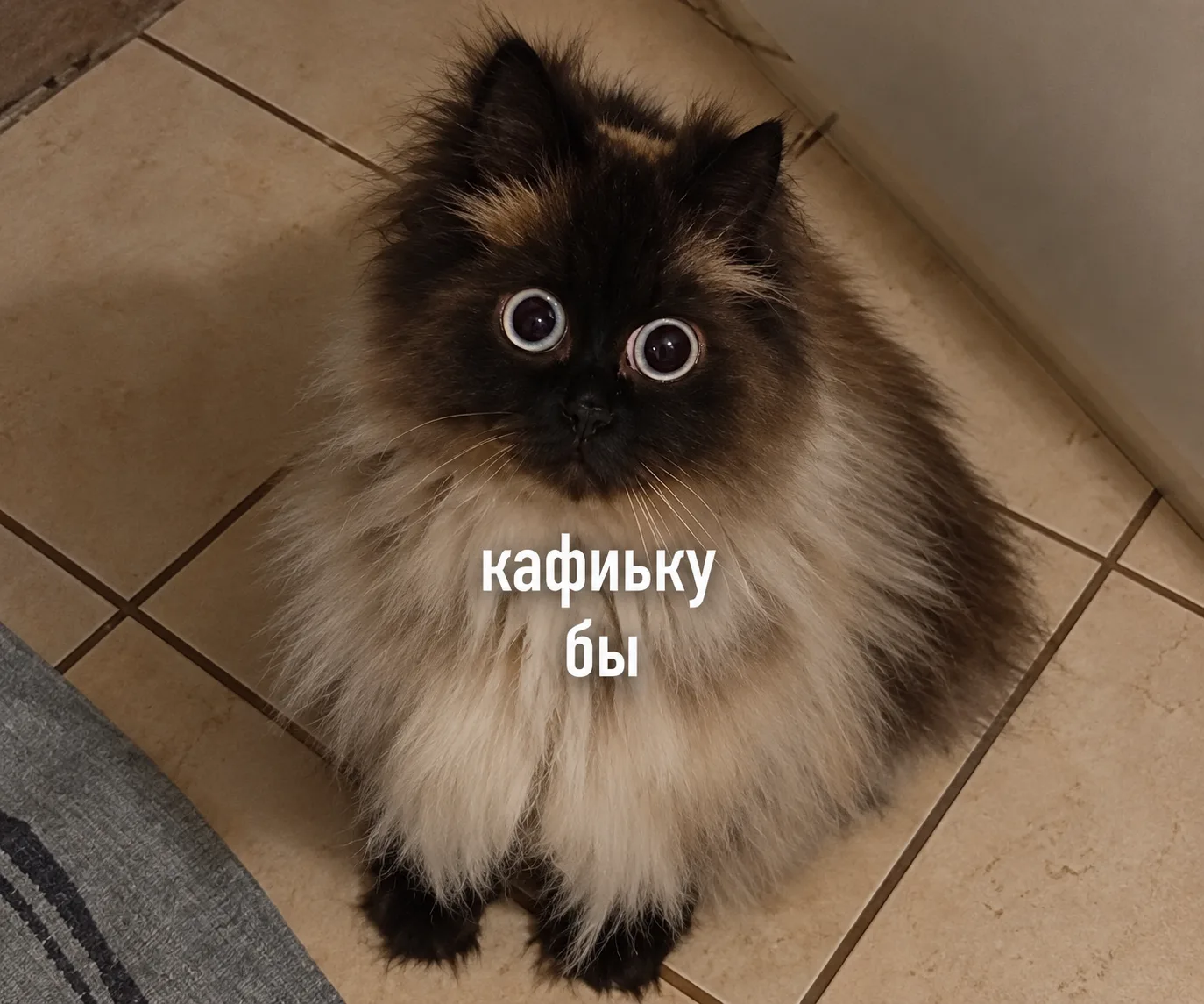 Кофе есть. Где мои миллионы? ☕️💸
