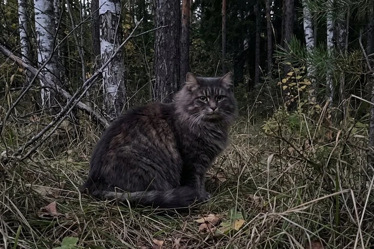 — Что это у тебя?