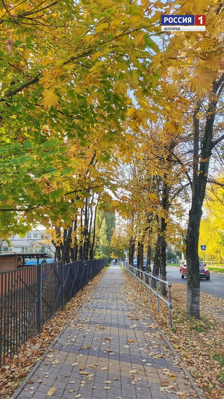 🍂 Золотой октябрь в любимом белом городе
