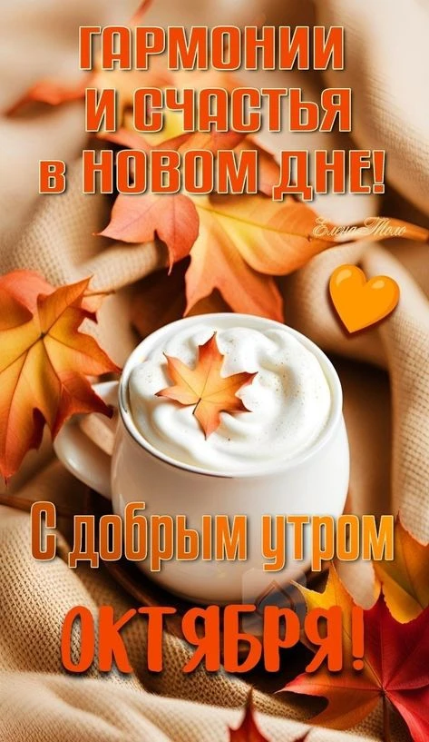 Доброе утро! Осенние утра, конечно, холодные, но они такие красивые! 🍁