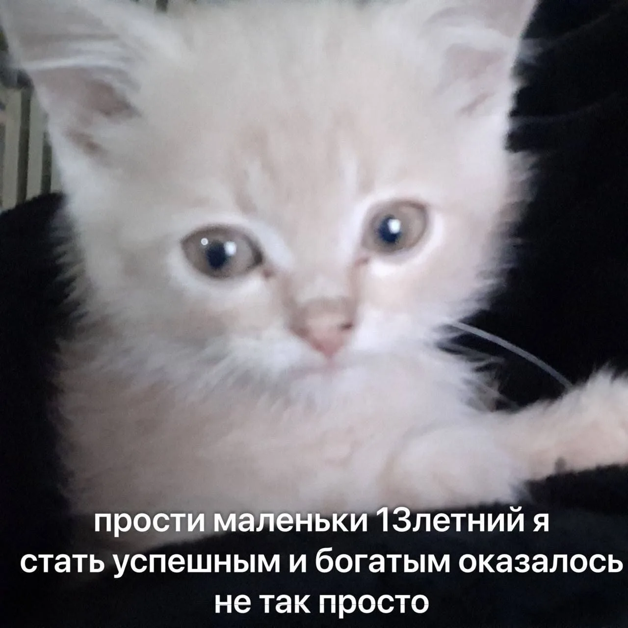 Ставь лайк! ❤️