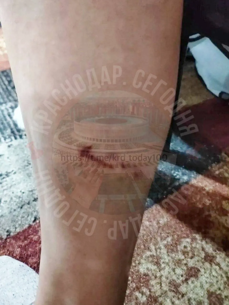 📌Стая собак напала на человека возле ЖК «Новый город» в Краснодаре