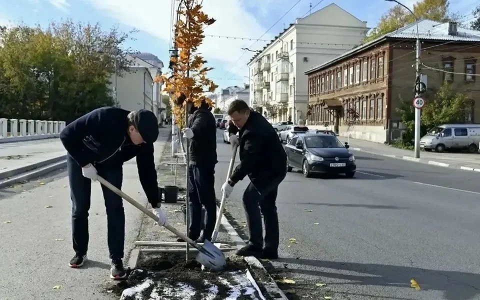 «Пройдет всего несколько лет – деревья приживутся, вырастут и мы увидим совсем другой г...
