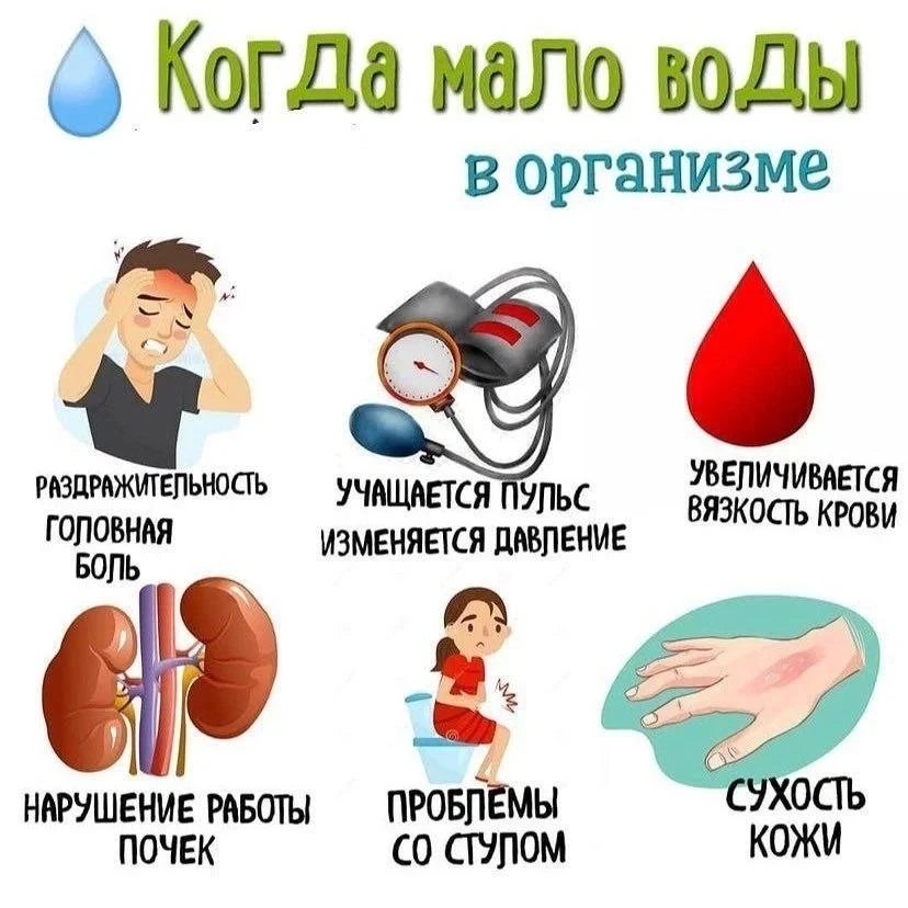 💦 Что происходит, когда организму не хватает воды?