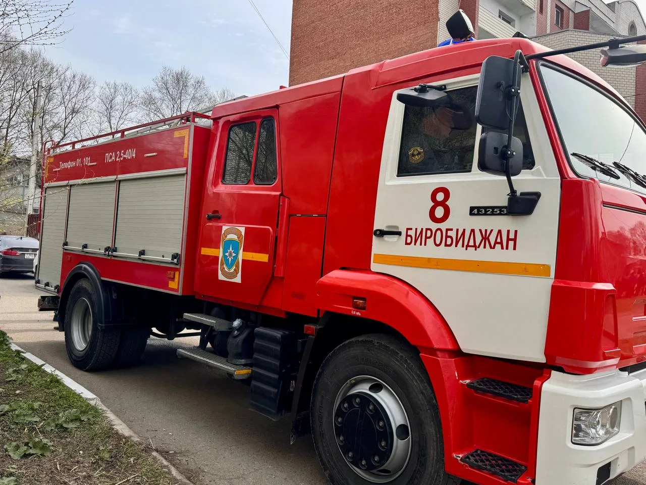 ⚡️Погибли при пожаре женщина и кошка в Биробиджане