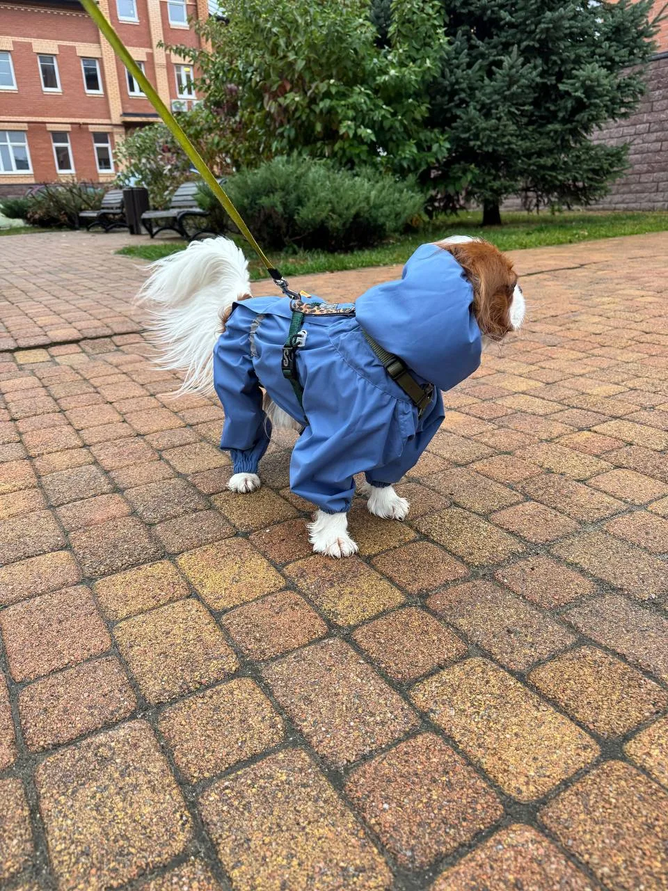 Всем доброе утро! 🤗