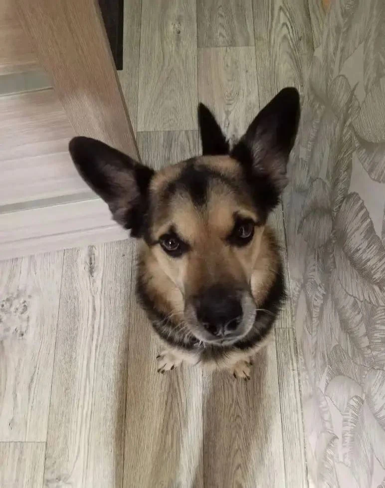 Ещё одна добрая новость ❤️