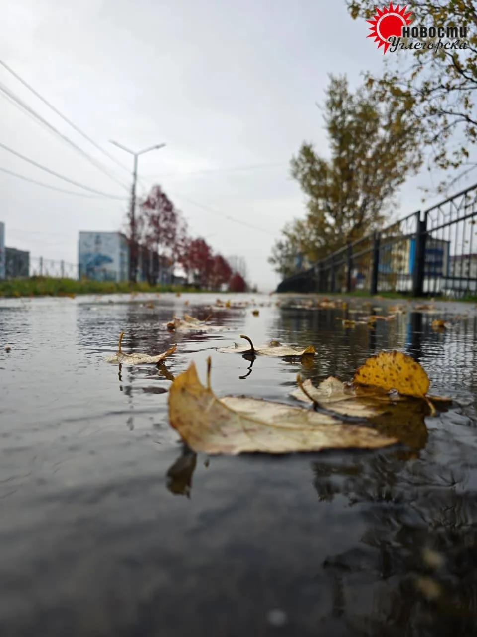 ☔ Погода сегодня ночью и днём 16 октября:
