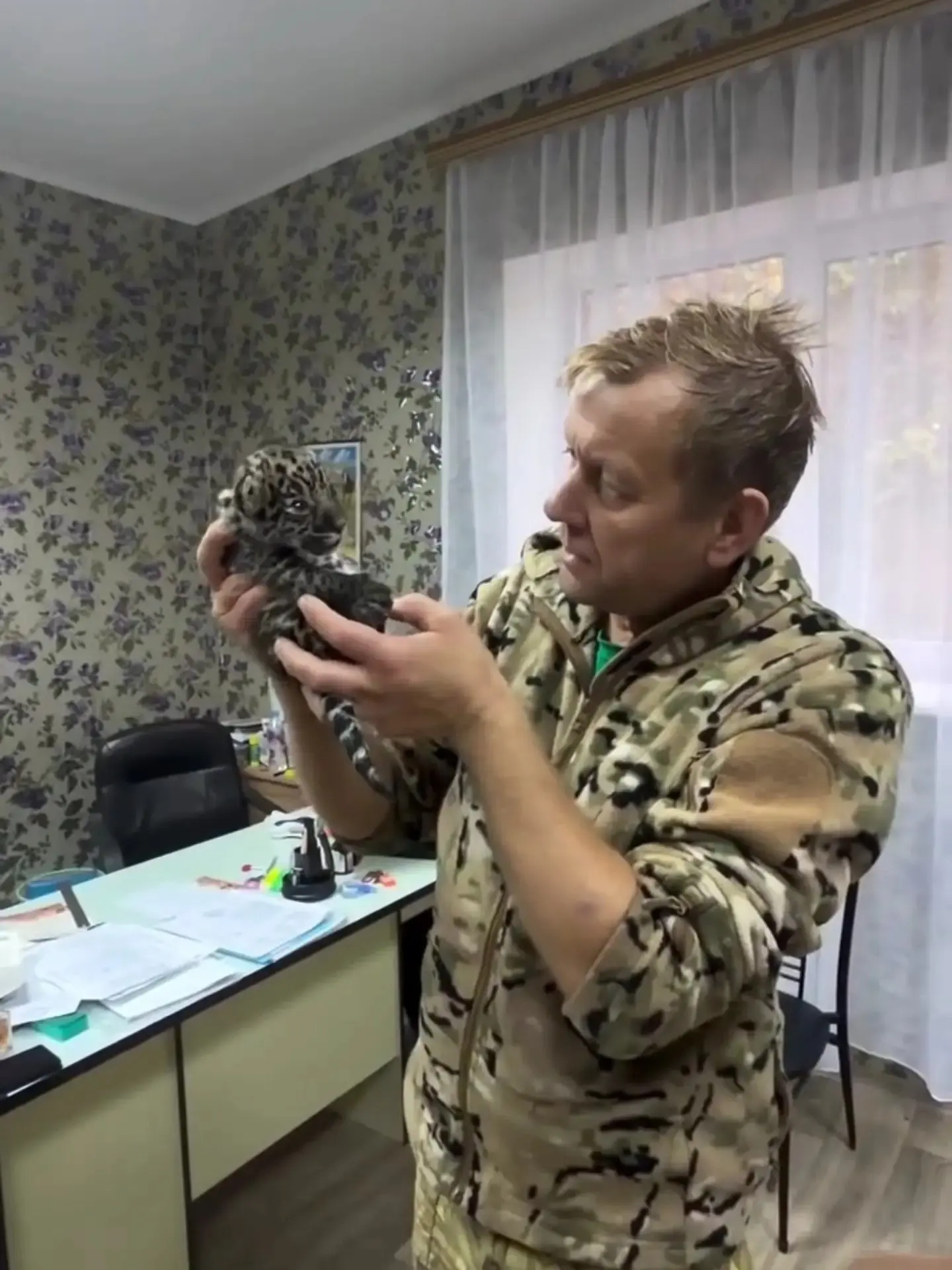 В Сафари-парке «Тайган» пополнение - на свет появился детёныш ягуара 🐆