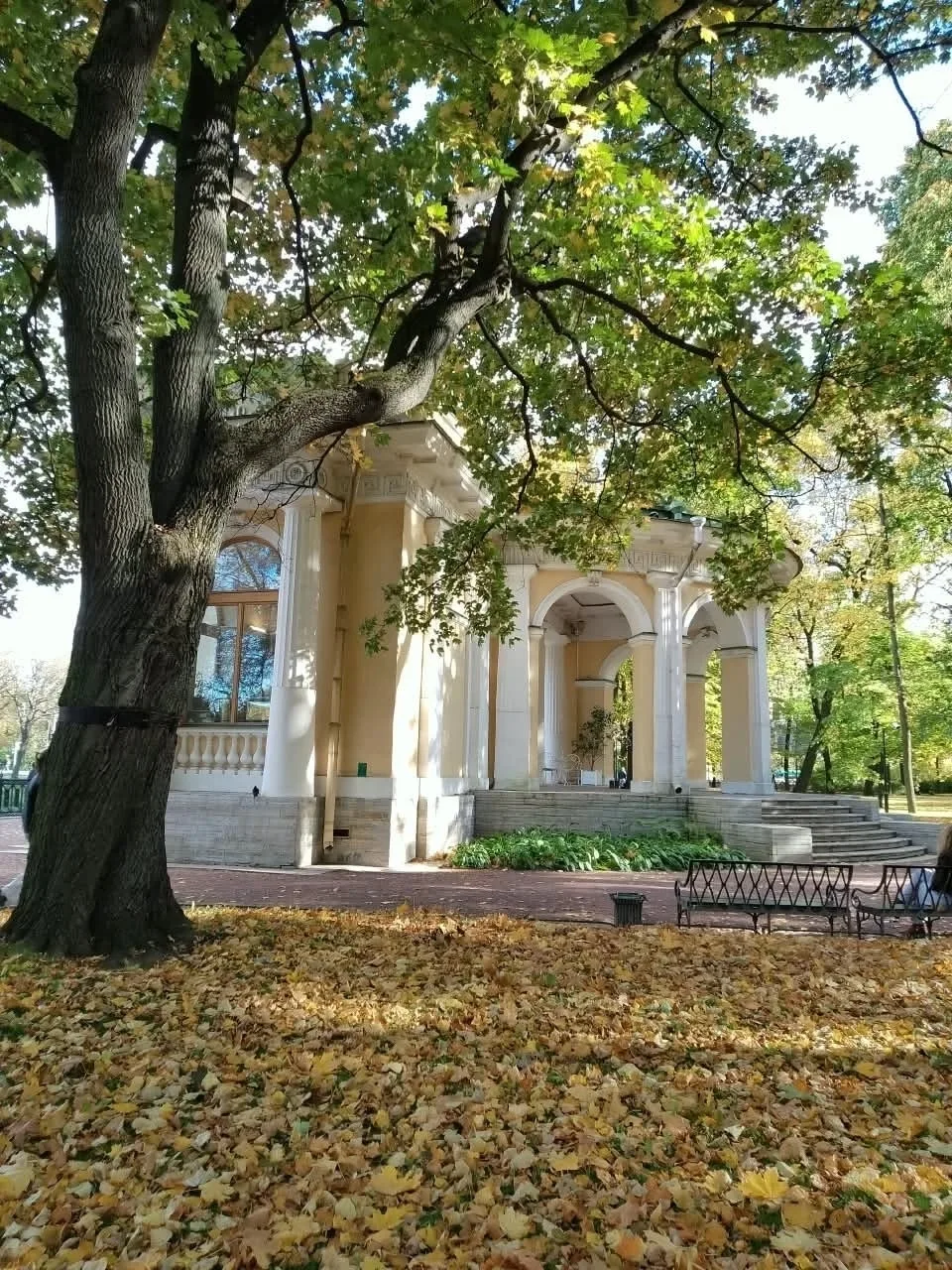Михайловский парк.🍂🍁🍂
