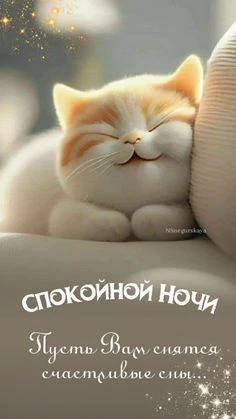 Подписаться 💙
