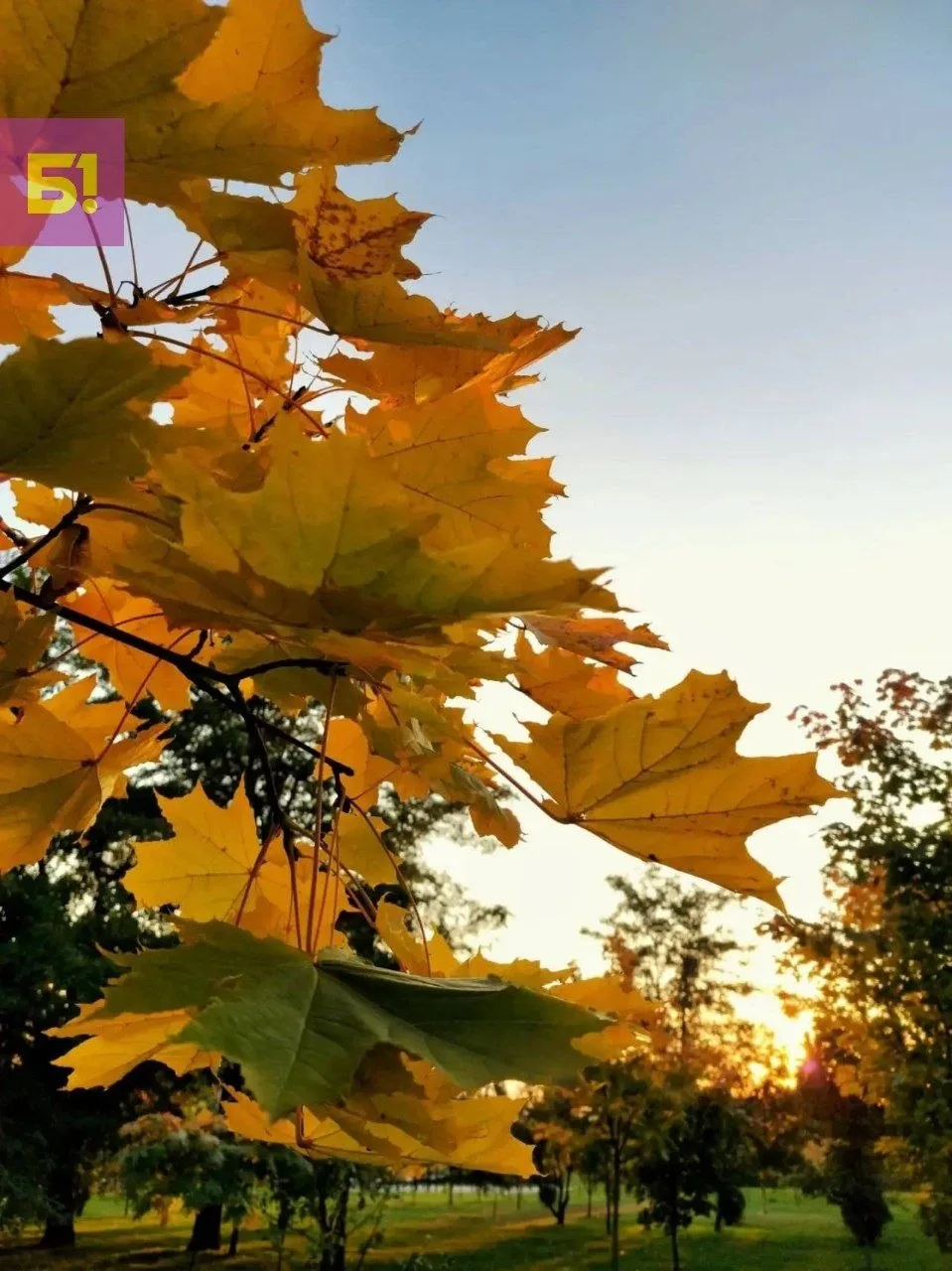 Осенний парк Памяти в кадрах нашей читательницы Алёны 🍁