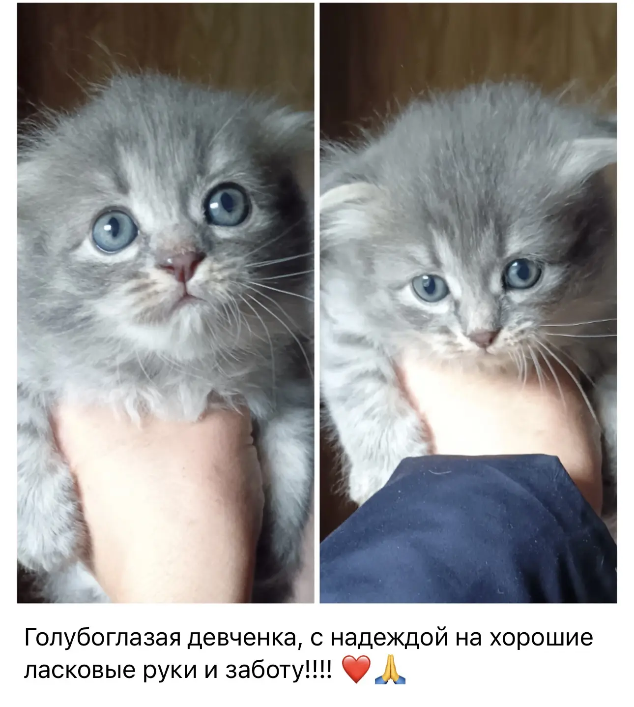 Девочки ‼️‼️‼️