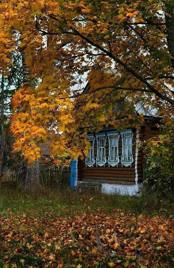 Листья падали в печали.