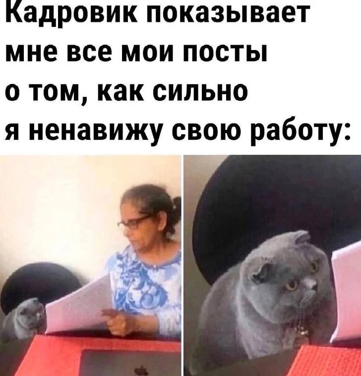 В России отмечается День кадрового работника