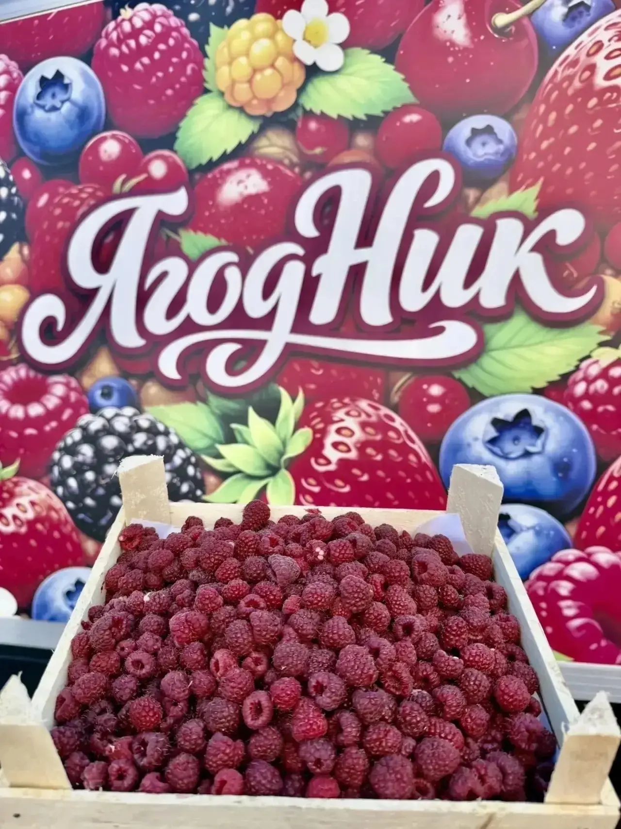 🍓ЗАВТРА ПОСТАВКИ СЛАДКОЙ, АРОМАТНОЙ КЛУБНИКИ И МАЛИНЫ ИЗ КИРГИЗИИ В ТАЙГЕ🍓