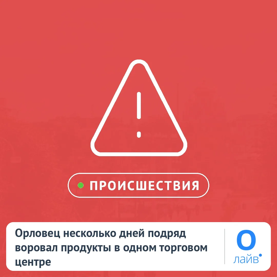 🛒 Орловец несколько дней подряд воровал продукты в одном торговом центре