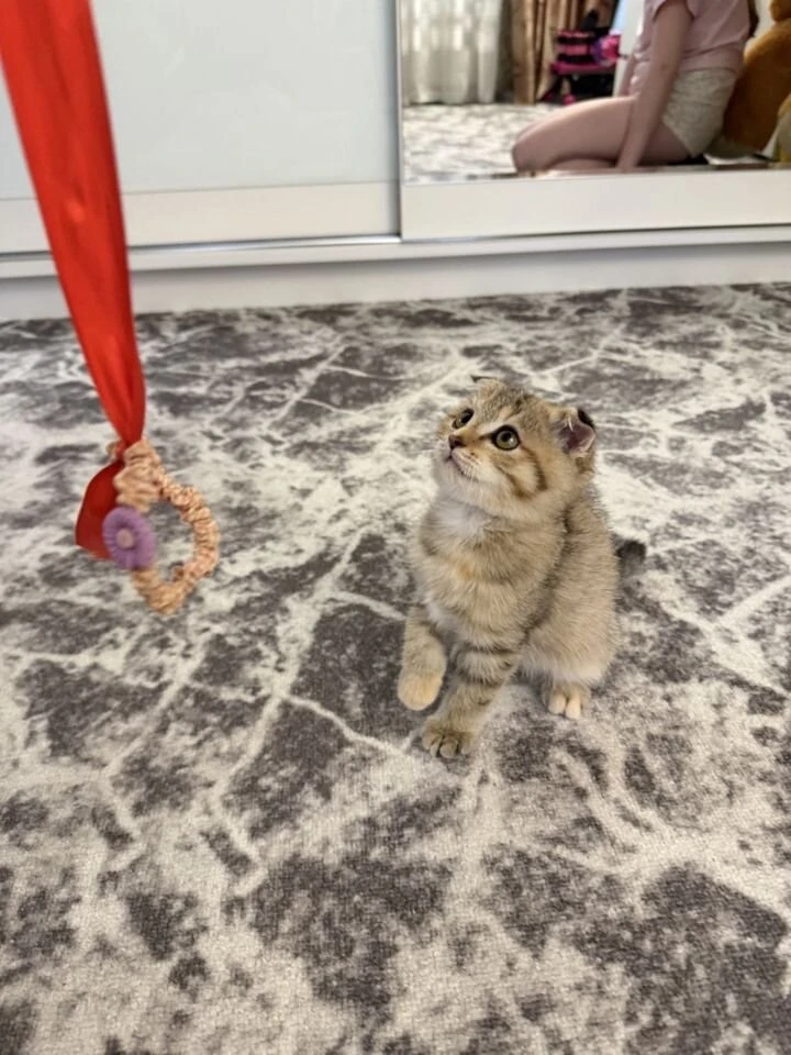 🐾 ПРИВЕТ ИЗ ДОМА