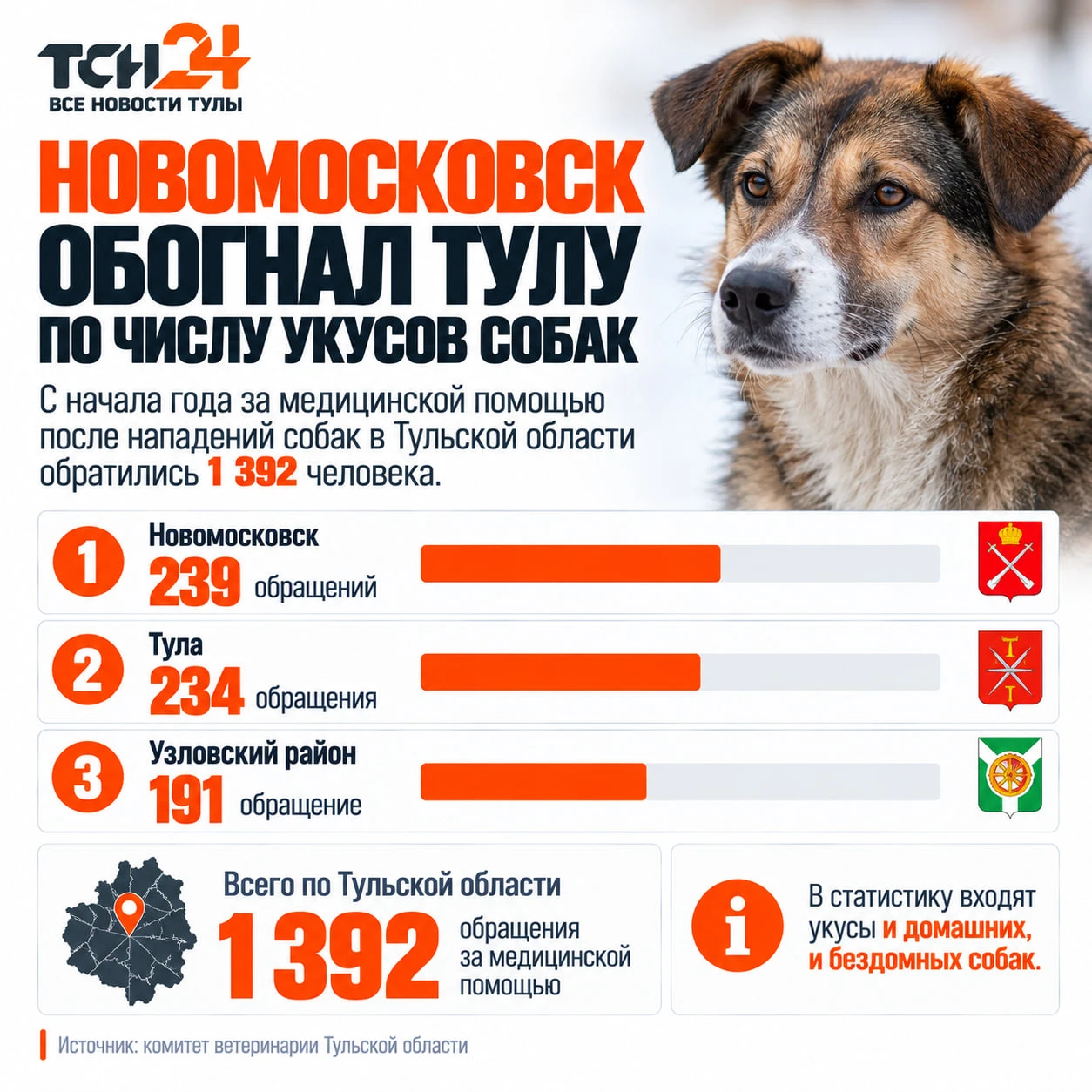 Новомосковск обогнал Тулу по числу укусов собак