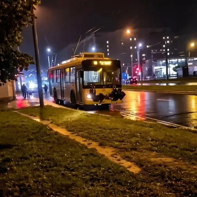 В Йошкар-Оле родители несовершеннолетних зацеперов привлечены к ответственности за опас...