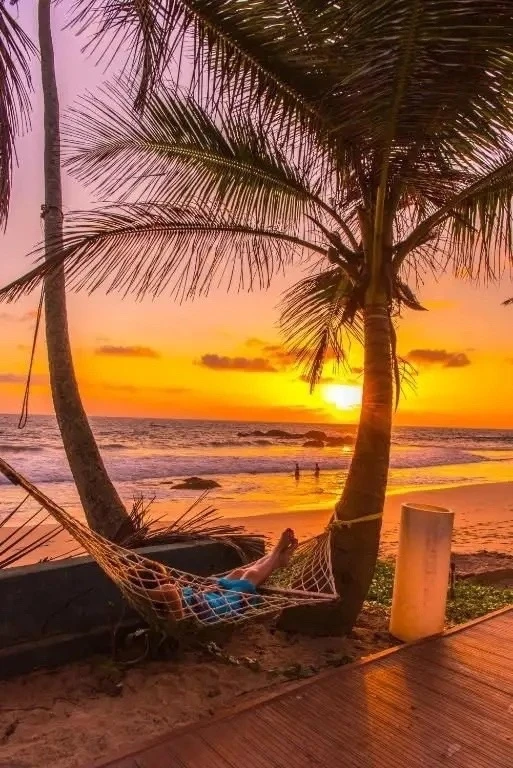 🌸Шри-Ланка, Хиккадува, самый сезон! ✈ 8 ноября на 11 ночей за 109 392₽ с человека с за...