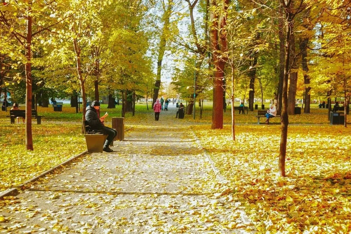 🍁 Золотая осень пришла в Таганский парк.