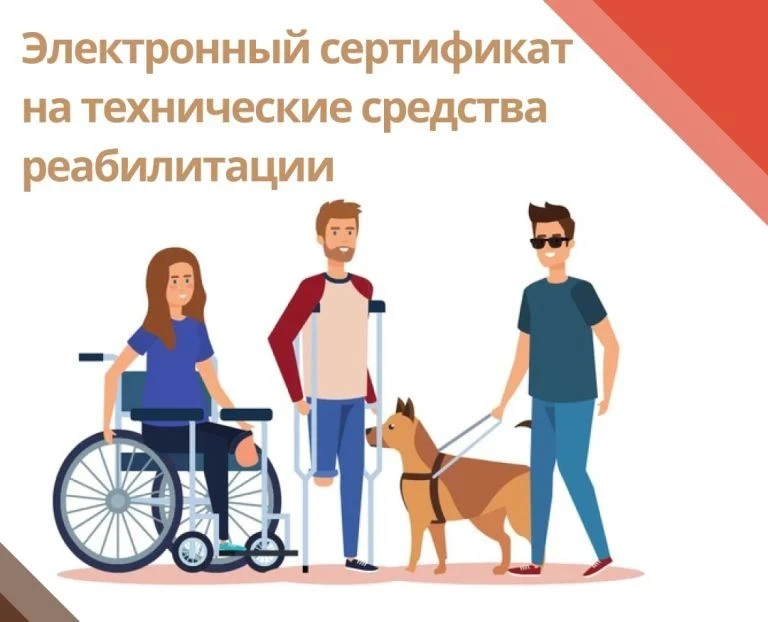 Электронный сертификат на ТСР: что важно знать